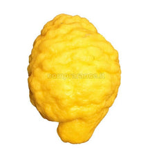 Carica l'immagine nel visualizzatore di Gallery, cedro coltivato a Ribera