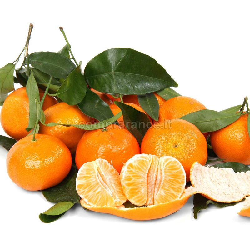 clementine della nostra azienda agricola