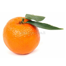 Carica l'immagine nel visualizzatore di Gallery, mandarino tardivo