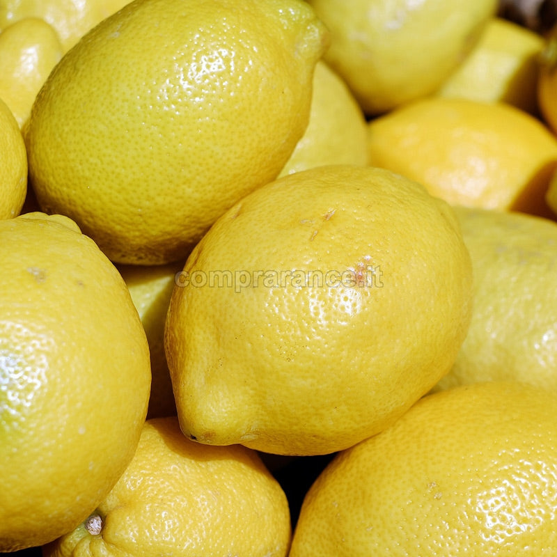 Limoni Freschi, Naturali, Saporiti e Siciliani 100% – Comprarance